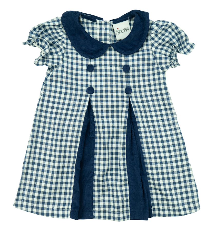 Delaney Navy Blue Gingham Dress Delaney Navy Blue Gingham Dress